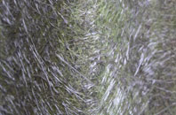 Tharston fibreglass roof work